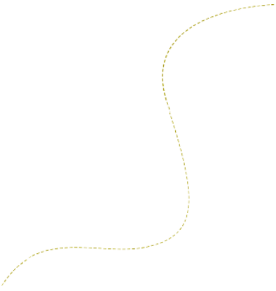 service5