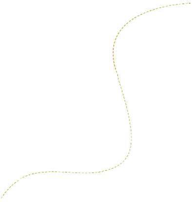 service5